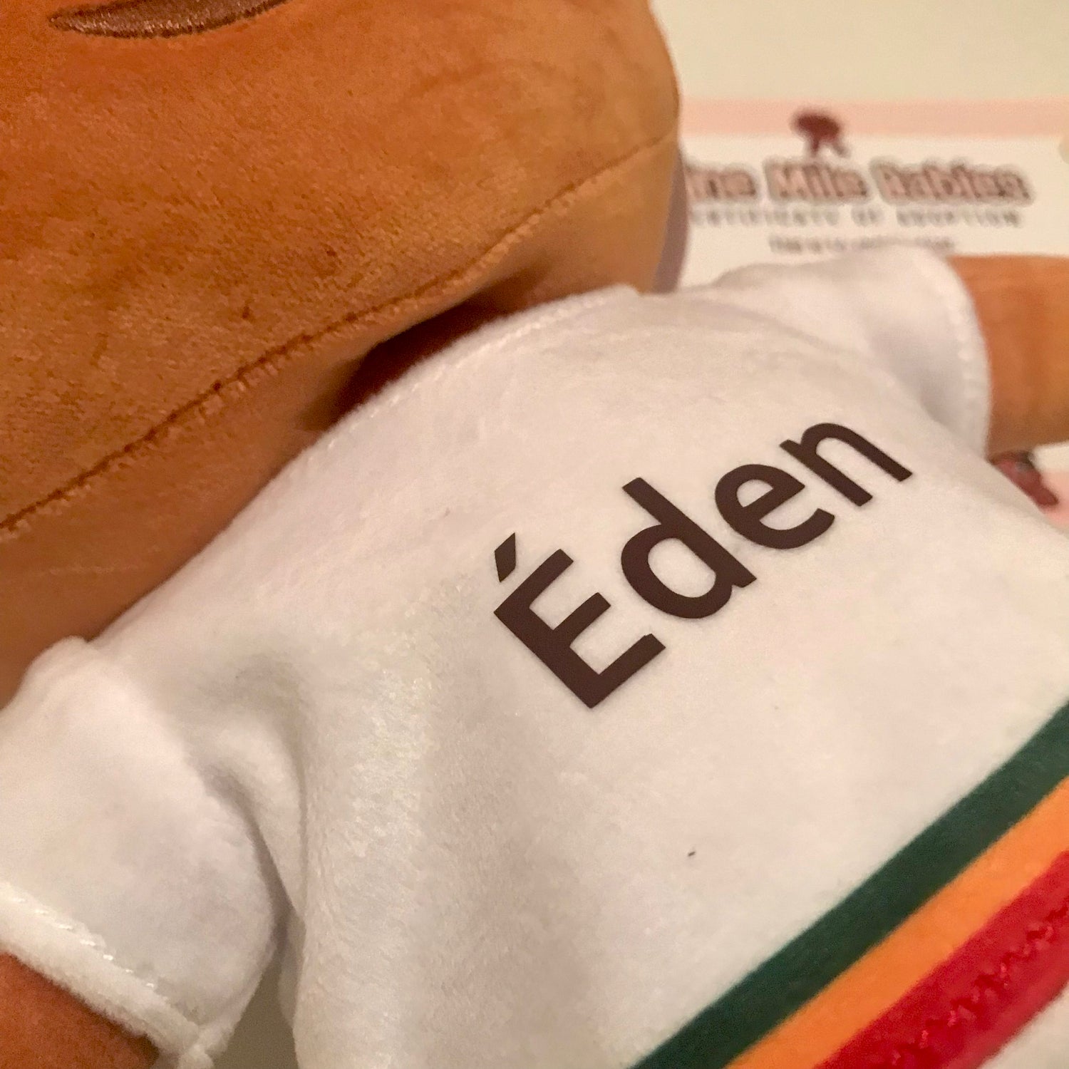 Personalise Your Soft Toy